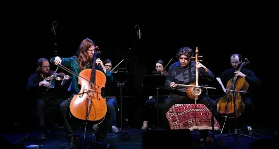 Canadian kamanche/cello, NAZ, Ottawa